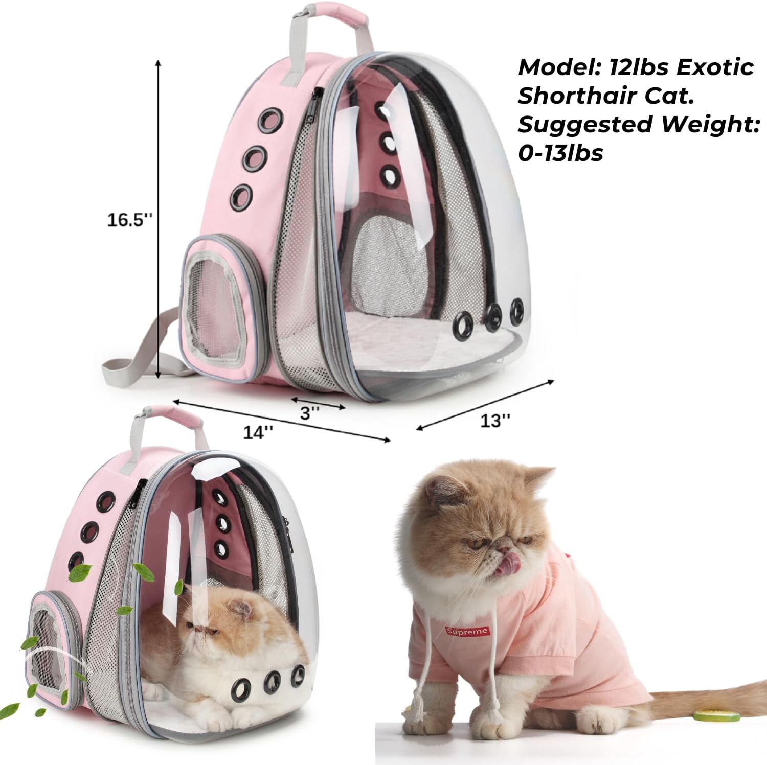 Bubble Expandable Cat Backpack Pet Travel Carrier for Cats and Dogs