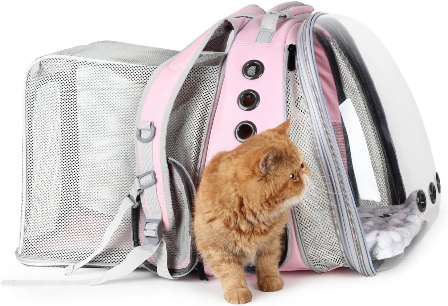 Pet Carrier Backpack, Bubble Backpack Carrier, Cats and Puppies,Airline-Approved, Designed for Travel, Hiking, Walking & Outdoor Use