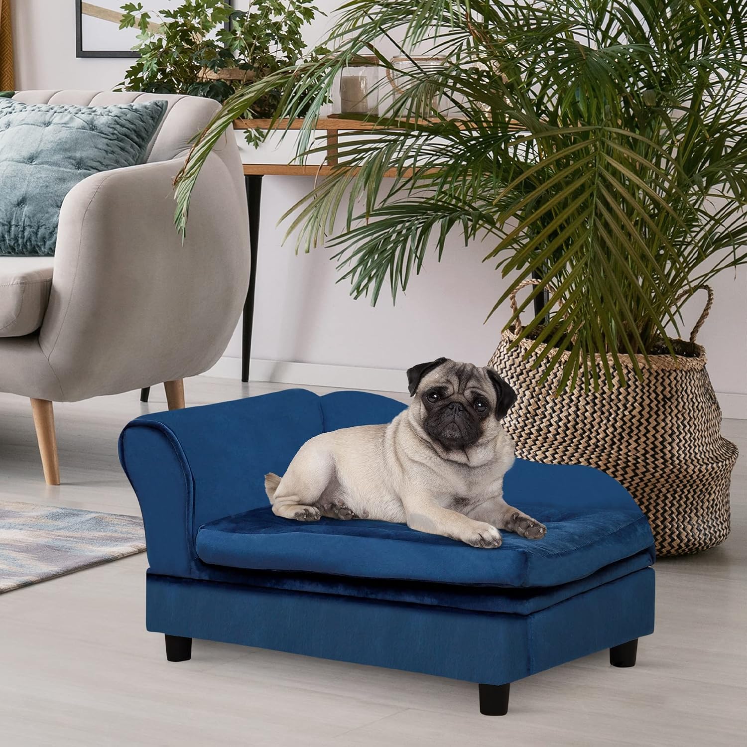 Fancy Dog Bed for Small Dogs with Hidden Storage, Small Dog Couch with Soft 3" Foam, Dog Sofa Bed, Cushy Dog Bed, Modern Pet Furniture for Puppies and Little Breeds, Blue